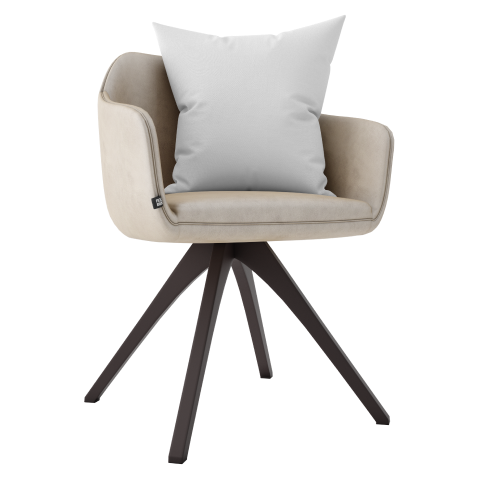 Dining Chair  modern